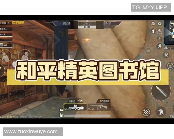 专访和平精英制作人周磊深度剖析游戏成功背后的秘密与策略