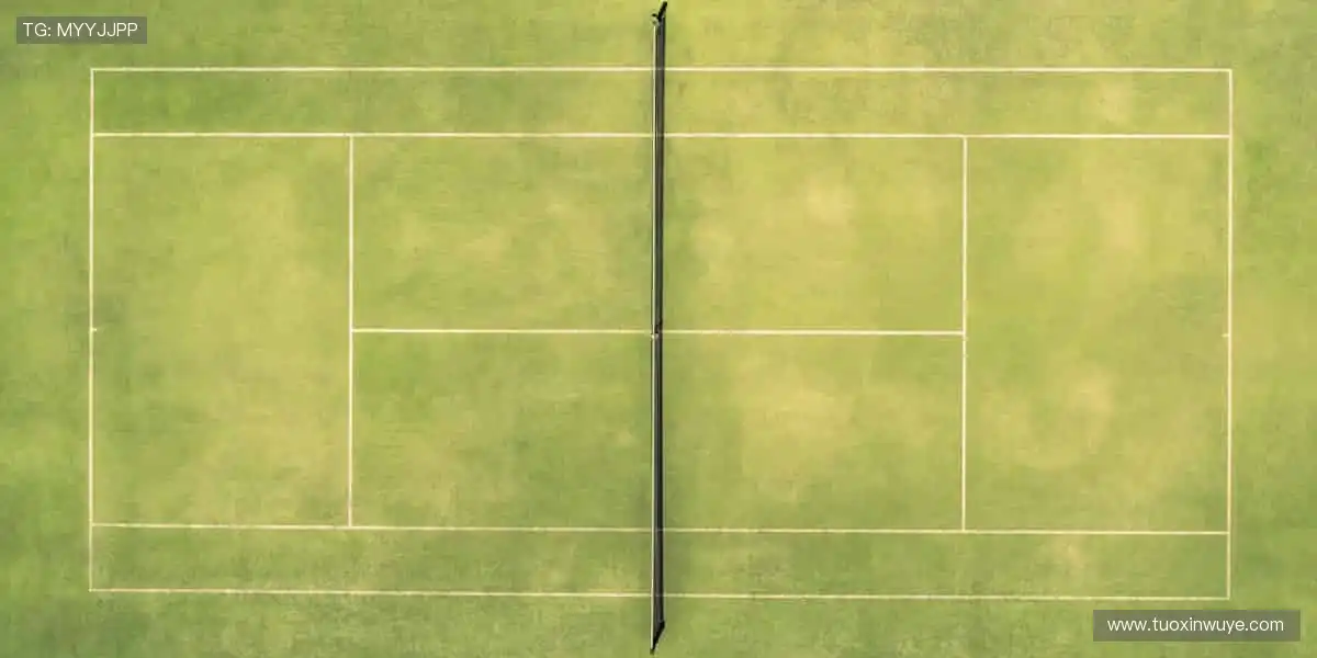 🚀一键预约，不错过任何一场巅峰对决！